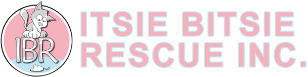 Itsie Bitsie Rescue Logo